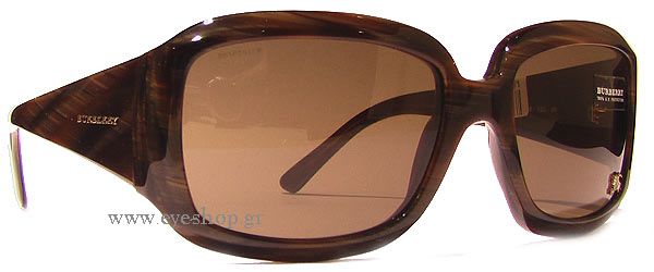 Sunglasses Burberry 4039 302273